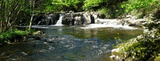 Saut-du-Gouloux-619x235