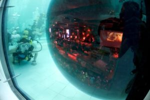 Fosse Némo Bruxelles